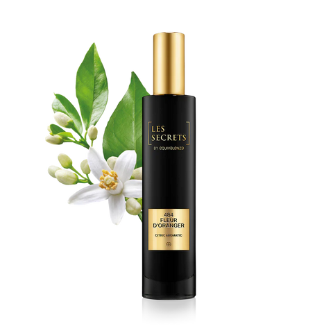 Affordable similar perfumes – crafted with premium essences & style