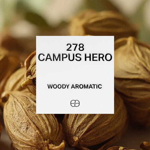 Similar perfumes with floral and woody notes – inspired by top brands