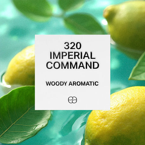 Similar perfumes with floral and woody notes – inspired by top brands