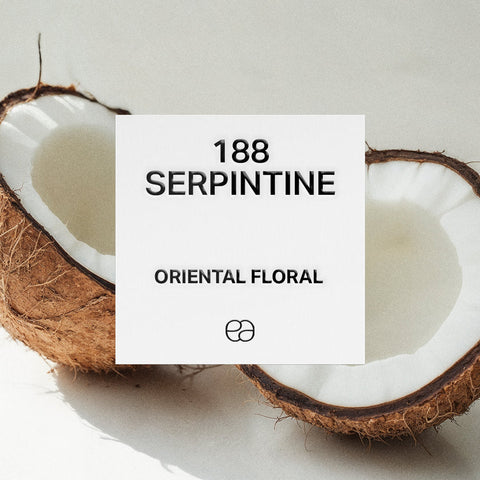 Dupe perfumes collection – vegan, cruelty-free, and stylishly crafted