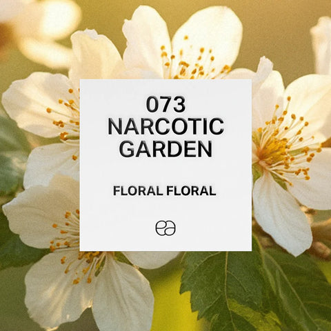 Similar perfumes with floral and woody notes – inspired by top brands