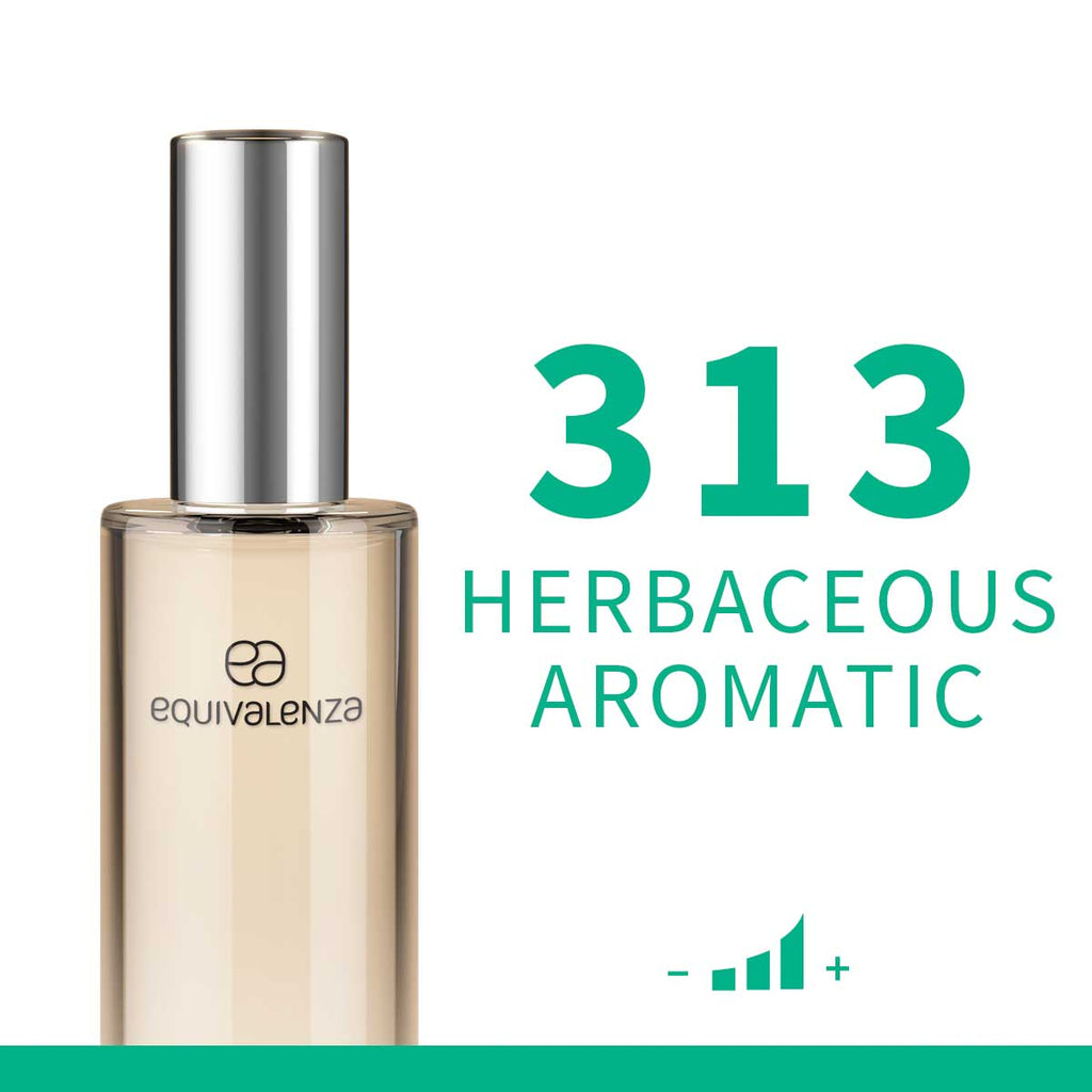 313 Herbaceous Aromatic - Equivalenza UK 313, Men, Mens, Page 2, Perfumes, Vital Energy, Vital Energy Mens perfumes fragrances shop