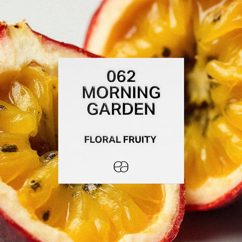 062 Morning Garden