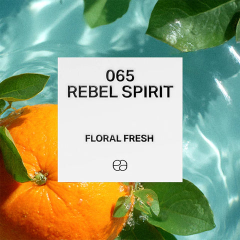 065 Rebel Spirit