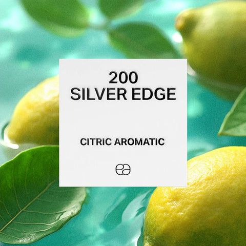 200 Silver Edge