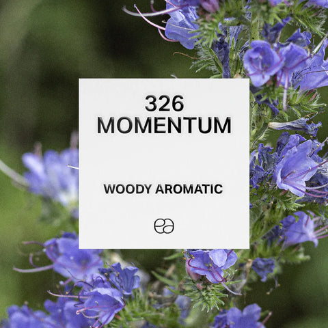 326 Momentum