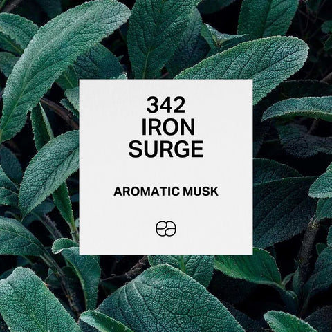 342 Iron Surge