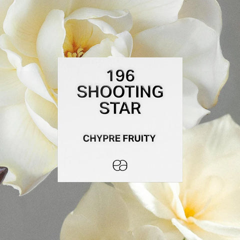 196 Shooting Star