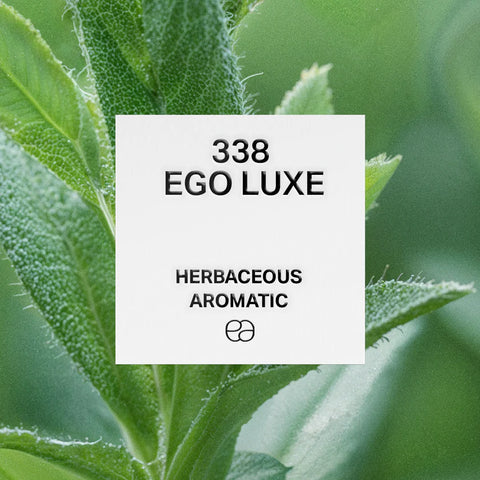 Inspired perfumes for men and women – long-lasting and elegant fragrance