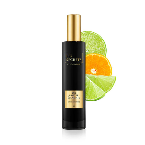 Inspired perfumes for men and women – long-lasting and elegant fragrance