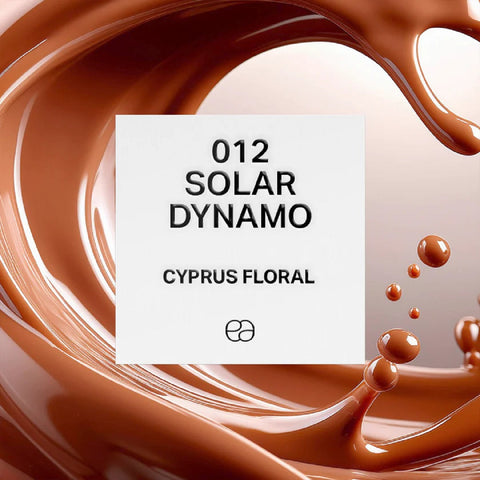 012 Solar Dynamo