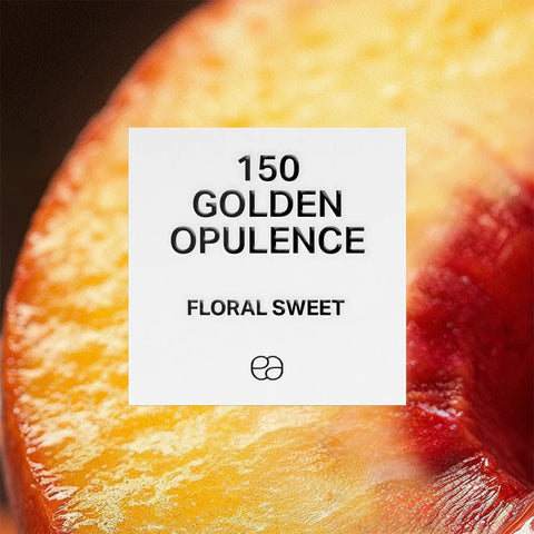 Dupe perfumes collection – vegan, cruelty-free, and stylishly crafted