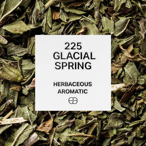 High-quality equivalent perfumes – perfect alternatives to designer scents