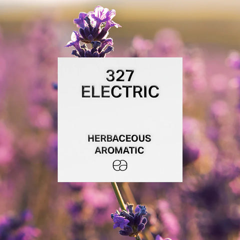 Inspired perfumes for men and women – long-lasting and elegant fragrance